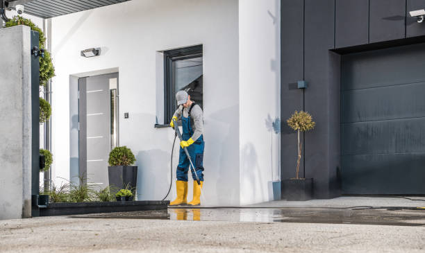 Best Roof Washing  in Plain City, UT